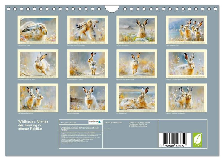 Produktbild: Wildhasen. Meister der Tarnung in offener Feldflur (Wandkalender 2027 DIN A4 quer), CALVENDO Monatskalender