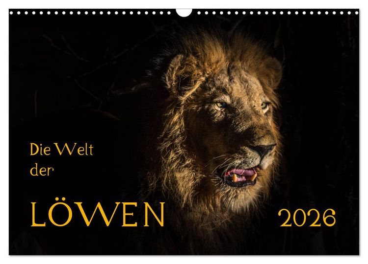 Produktbild: Die Welt der L&ouml;wen (Wandkalender 2026 DIN A3 quer), CALVENDO Monatskalender