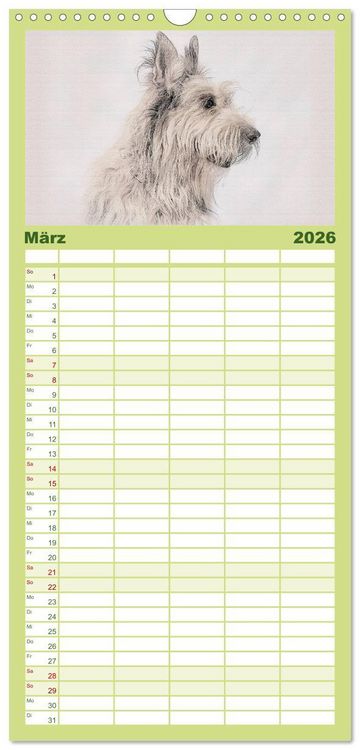 Produktbild: Familienplaner 2026 - Franz&ouml;sische Hirtenhunde 2026 mit 5 Spalten (Wandkalender, 21 x 45 cm) CALVENDO