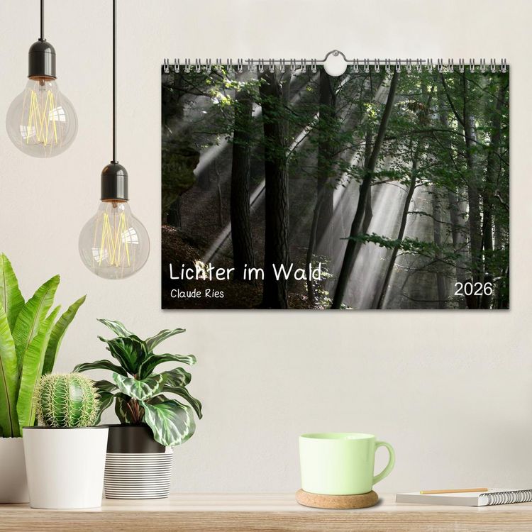Produktbild: Lichter im Wald (Wandkalender 2026 DIN A4 quer), CALVENDO Monatskalender