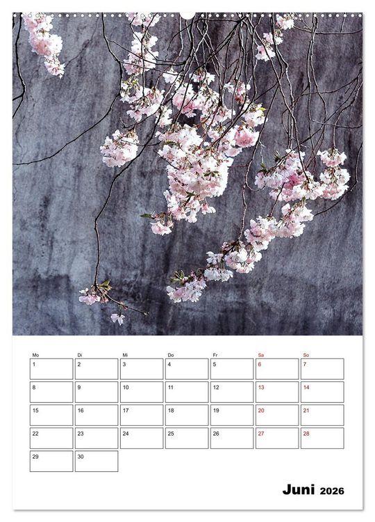 Produktbild: Mauerbl&uuml;mchen - Poesie im Allt&auml;glichen als Monatsplaner (Wandkalender 2026 DIN A2 hoch), CALVENDO Monatskalender