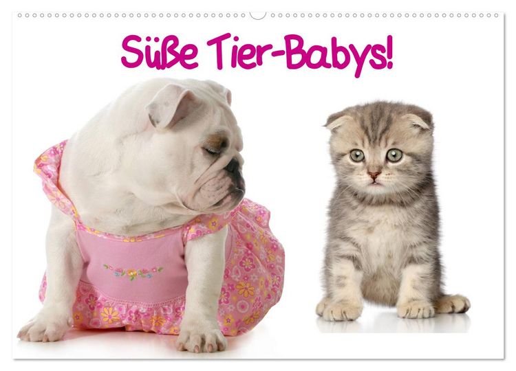 Produktbild: S&uuml;&szlig;e Tier-Babys! (Wandkalender 2026 DIN A2 quer), CALVENDO Monatskalender