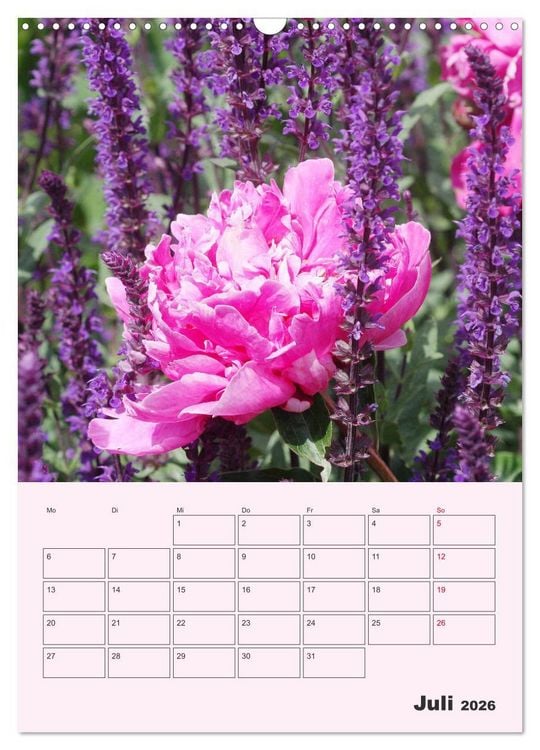 Produktbild: Pfingstrosen Rosen ohne Dornen (Wandkalender 2026 DIN A3 hoch), CALVENDO Monatskalender