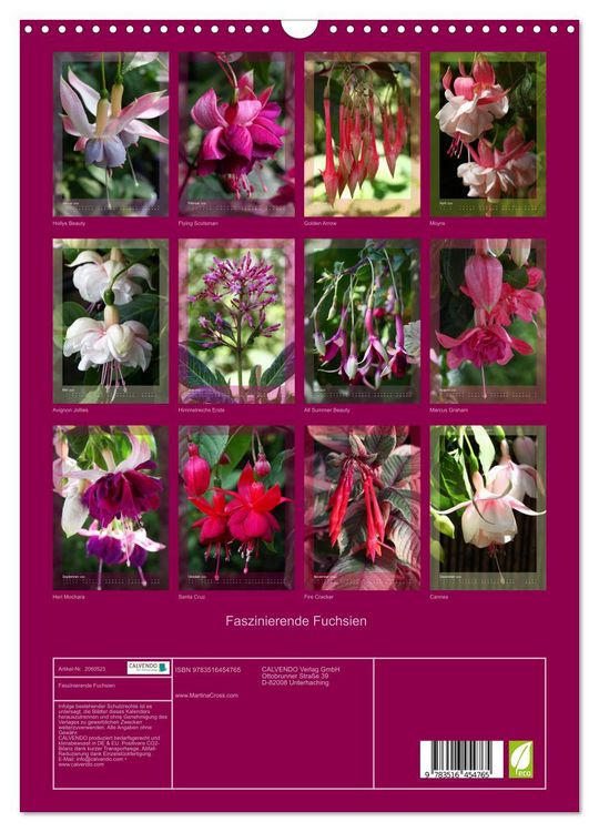 Produktbild: Faszinierende Fuchsien (Wandkalender 2026 DIN A3 hoch), CALVENDO Monatskalender