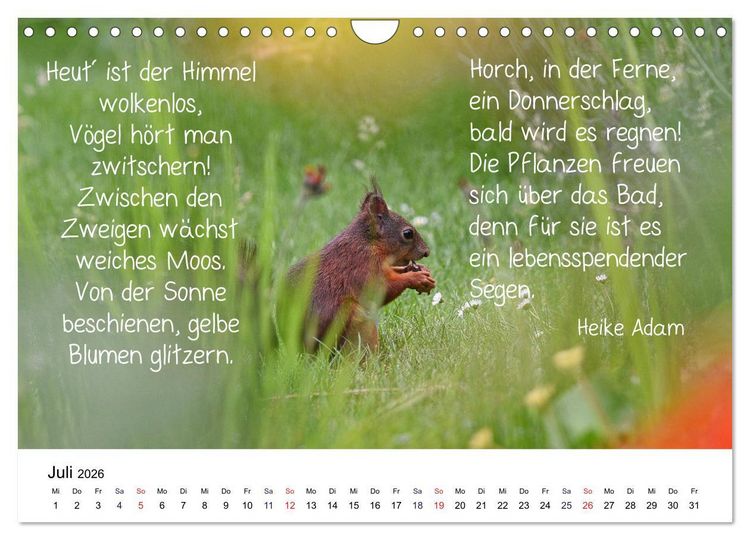 Produktbild: Der literarische Eichh&ouml;rnchen-Kalender (Wandkalender 2026 DIN A4 quer), CALVENDO Monatskalender