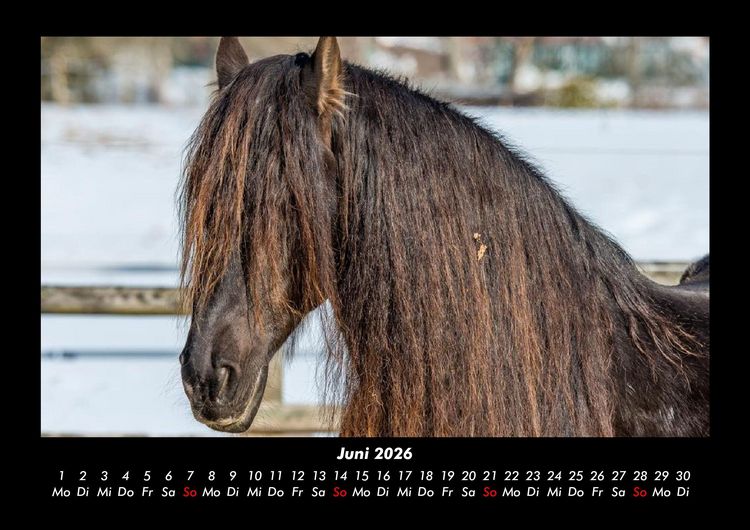 Produktbild: Pferdegefl&uuml;ster 2026 Fotokalender DIN A3