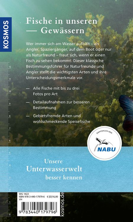 Produktbild: Welcher Fisch ist das?