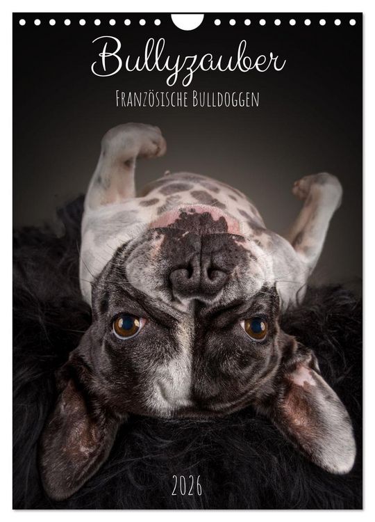 Produktbild: Bullyzauber - Franz&ouml;sische Bulldoggen (Wandkalender 2026 DIN A4 hoch), CALVENDO Monatskalender