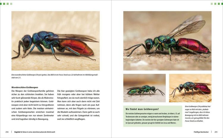 Produktbild: Extreme Wildlife-Makrofotografie