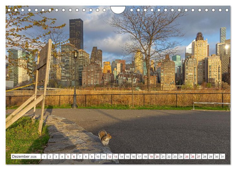 Produktbild: New York City Manhattan Perspektiven (Wandkalender 2026 DIN A4 quer), CALVENDO Monatskalender
