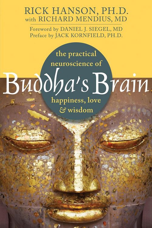 Produktbild: Buddha's Brain