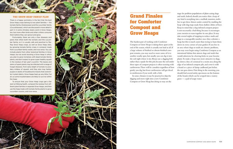 Produktbild: The Complete Compost Gardening Guide