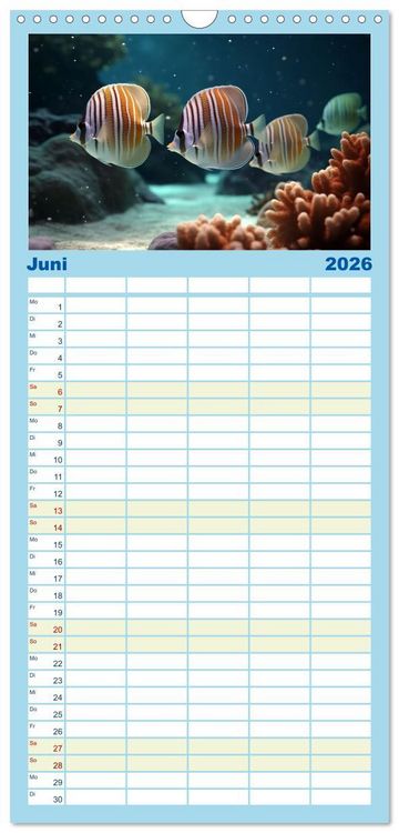 Produktbild: Familienplaner 2026 - Fantasie bei die Fische! mit 5 Spalten (Wandkalender, 21 x 45 cm) CALVENDO