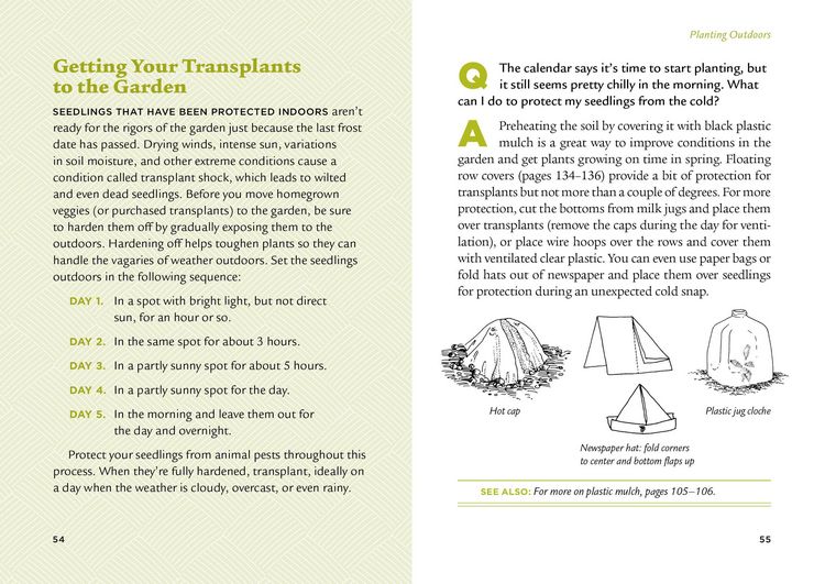 Produktbild: The Veggie Gardener's Answer Book