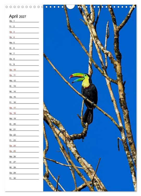 Produktbild: Costa Rica - Magische Tiere des Regenwaldes (Wandkalender 2027 DIN A3 hoch), CALVENDO Monatskalender
