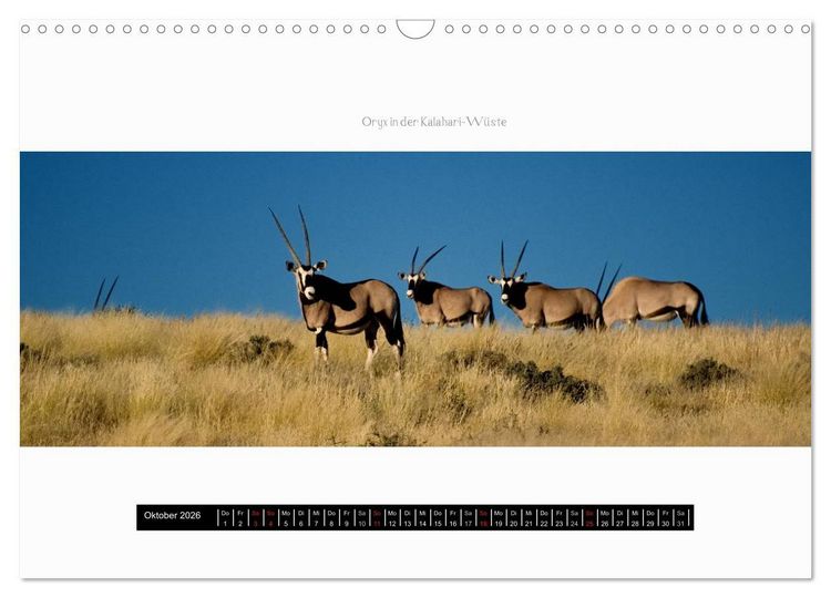 Produktbild: Namibia - Panoramen (Wandkalender 2026 DIN A3 quer), CALVENDO Monatskalender