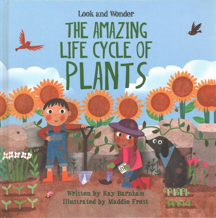 Produktbild: The Amazing Life Cycle of Plants