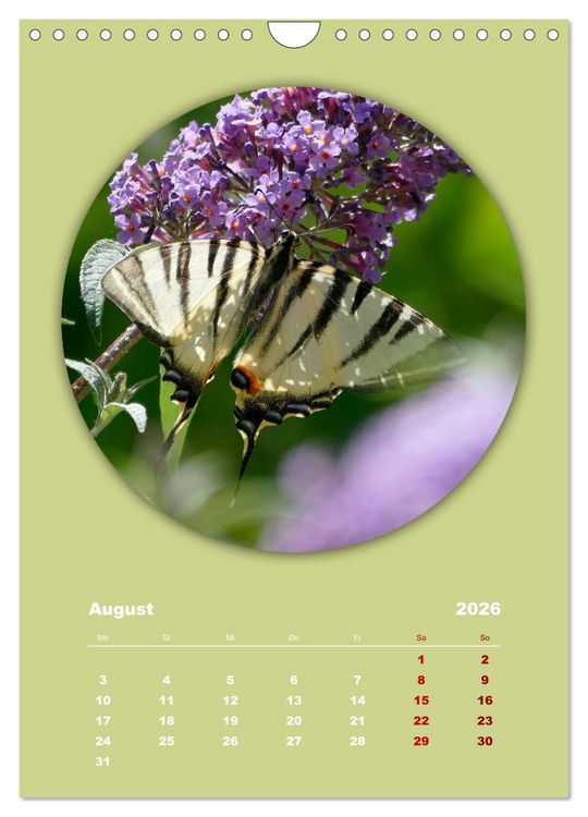 Produktbild: Rundherum Natur (Wandkalender 2026 DIN A4 hoch), CALVENDO Monatskalender