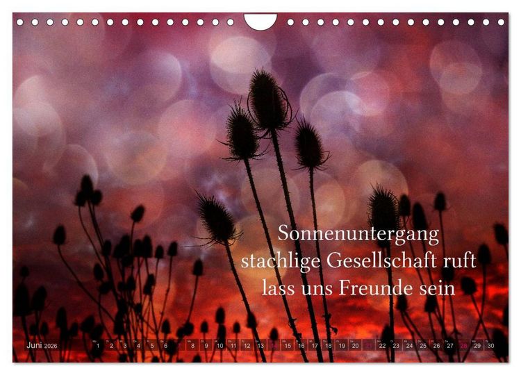Produktbild: Haiku - Gedichte in 17 Silben (Wandkalender 2026 DIN A4 quer), CALVENDO Monatskalender