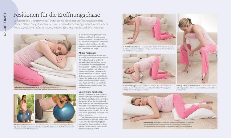 Produktbild: Alles &uuml;ber meine Schwangerschaft Tag f&uuml;r Tag