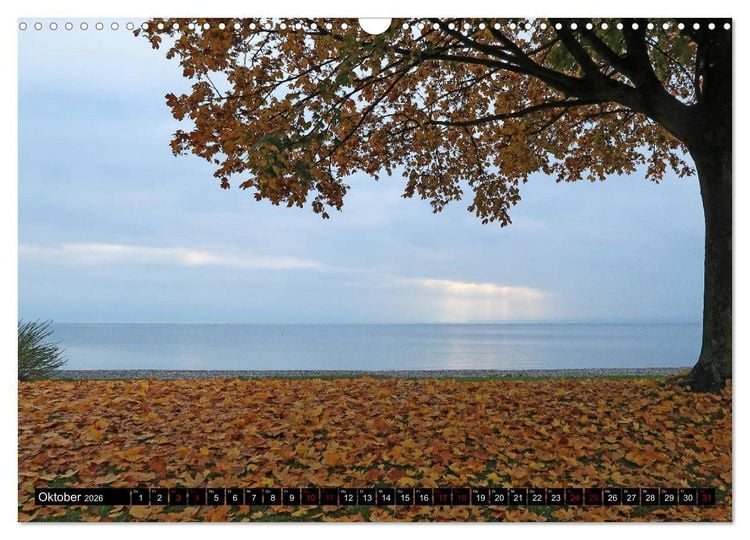 Produktbild: Sehenswerter Bodensee (Wandkalender 2026 DIN A3 quer), CALVENDO Monatskalender