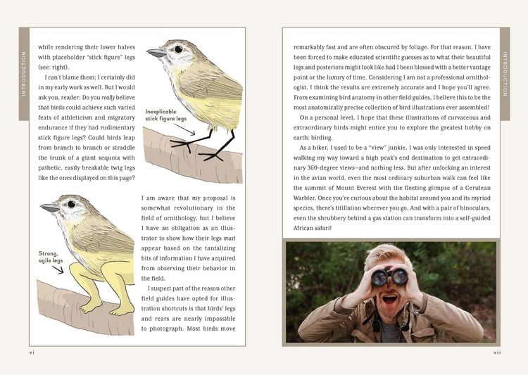 Produktbild: Extremely Accurate Birds