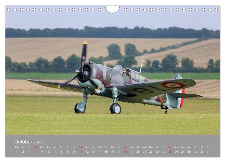 Produktbild: The Flying Legends (Wall Calendar 2026 DIN A4 landscape), CALVENDO 12 Month Wall Calendar