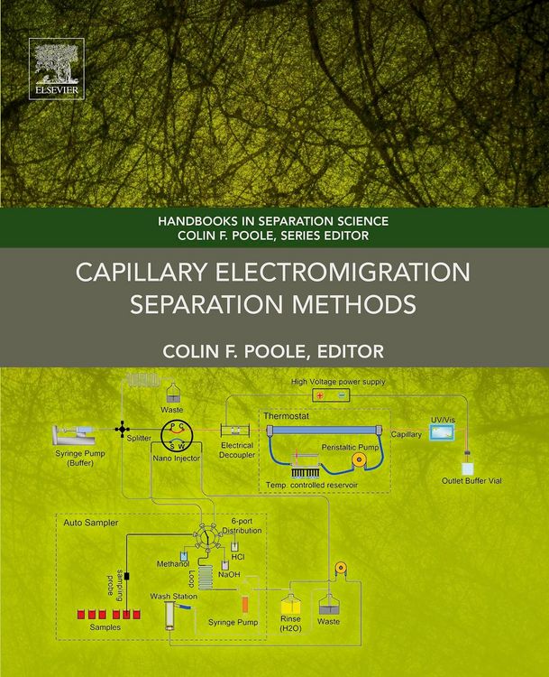 Produktbild: Capillary Electromigration Separation Methods