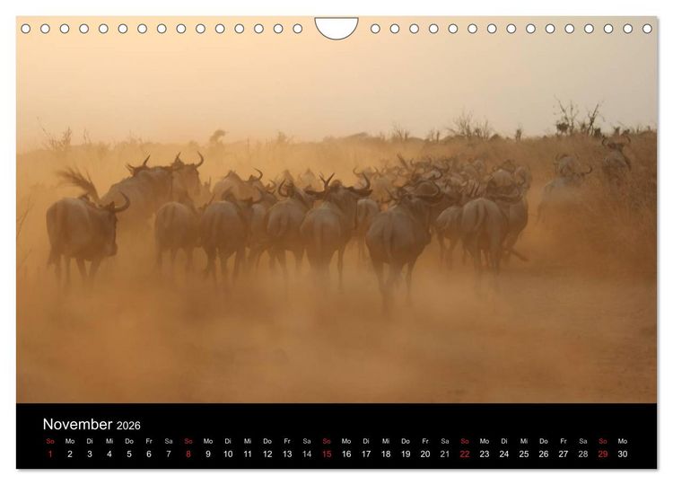 Produktbild: Tansania (Wandkalender 2026 DIN A4 quer), CALVENDO Monatskalender