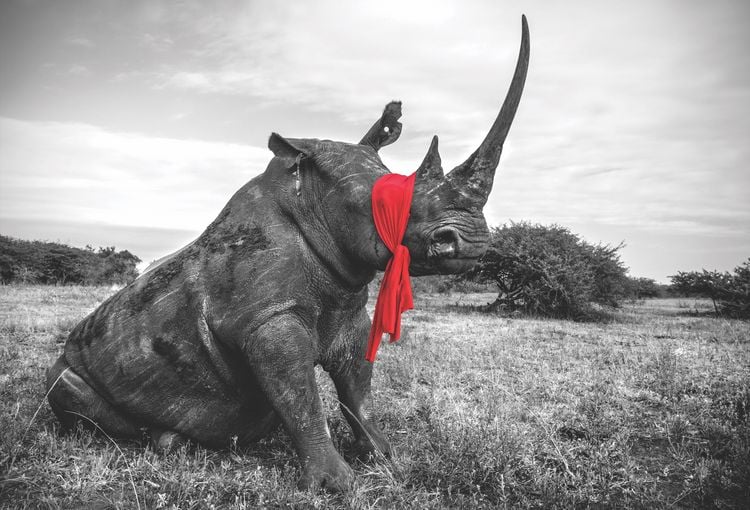 Produktbild: Die Seele Afrikas