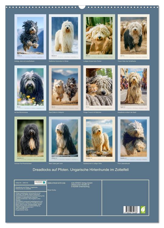 Produktbild: Dreadlocks auf Pfoten. Ungarische Hirtenhunde im Zottelfell (Wandkalender 2027 DIN A2 hoch), CALVENDO Monatskalender