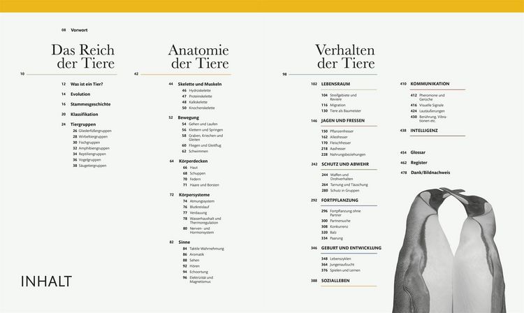 Produktbild: Tiere und ihr Verhalten