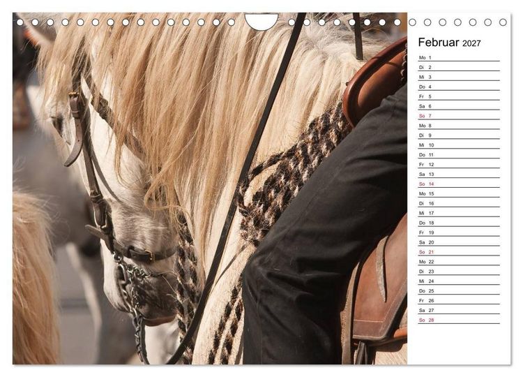 Produktbild: Pferde der Camargue &ndash; Schimmel im Rh&ocirc;nedelta (Wandkalender 2027 DIN A4 quer), CALVENDO Monatskalender
