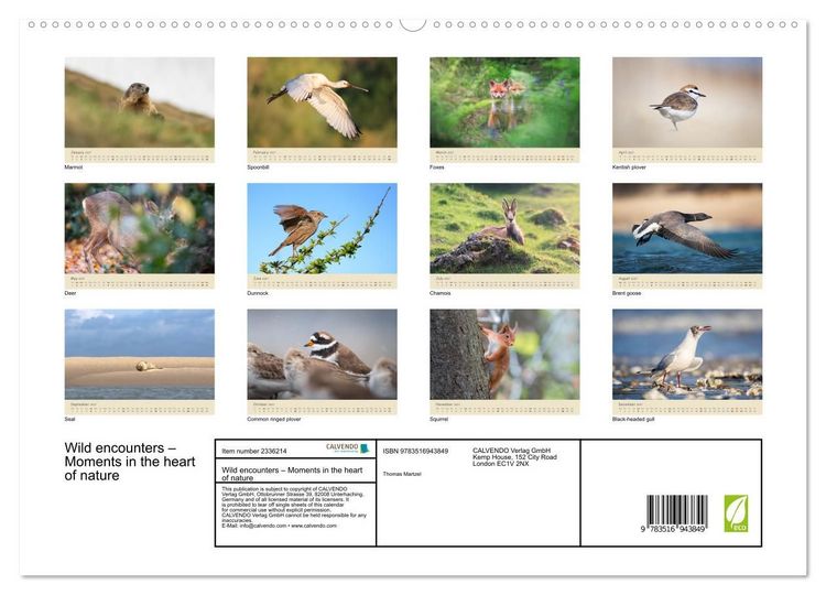 Produktbild: Wild encounters &ndash; Moments in the heart of nature (High Quality Premium Wall Calendar 2027 DIN A2 landscape),CALVENDO 12 Month Wall Calendar