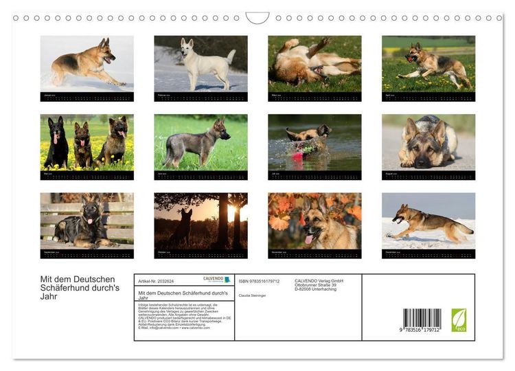Produktbild: Mit dem Deutschen Sch&auml;ferhund durch's Jahr (Wandkalender 2026 DIN A3 quer), CALVENDO Monatskalender