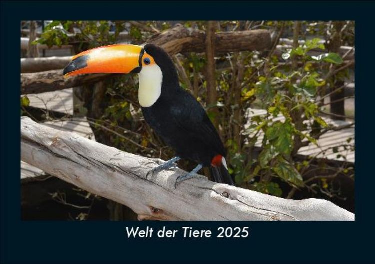 Produktbild: Welt der Tiere 2025 Fotokalender DIN A5