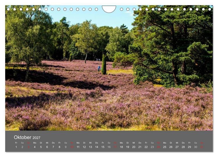 Produktbild: Moor- und Heidelandschaften Niedersachsen (Wandkalender 2027 DIN A4 quer), CALVENDO Monatskalender