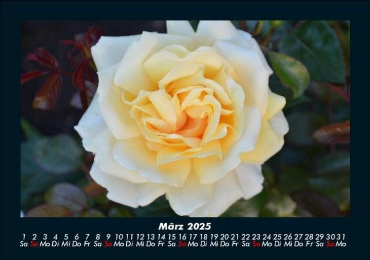 Produktbild: Bilder aus der Natur 2025 Fotokalender DIN A5