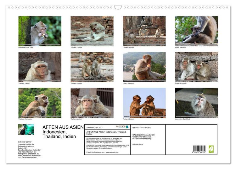 Produktbild: AFFEN AUS ASIEN Indonesien, Thailand, Indien (Wandkalender 2026 DIN A2 quer), CALVENDO Monatskalender