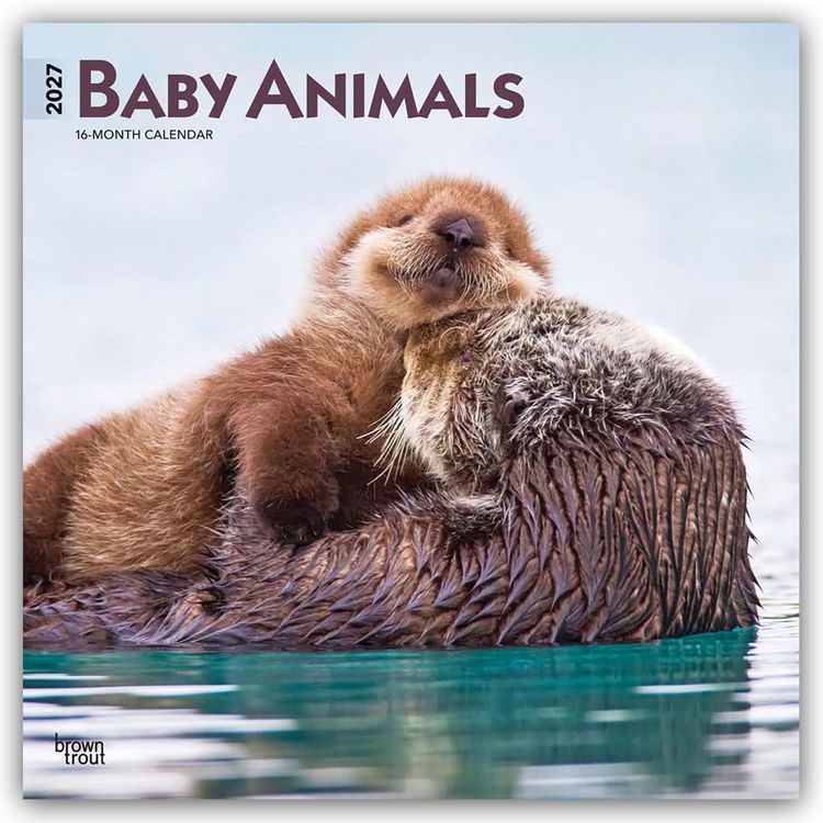 Produktbild: Baby Animals &ndash; Tierbabys &ndash; Tierkinder 2027 &ndash; 16-Monatskalender