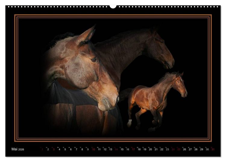 Produktbild: Traumpferde-ART-Collection (hochwertiger Premium Wandkalender 2026 DIN A2 quer), Kunstdruck in Hochglanz