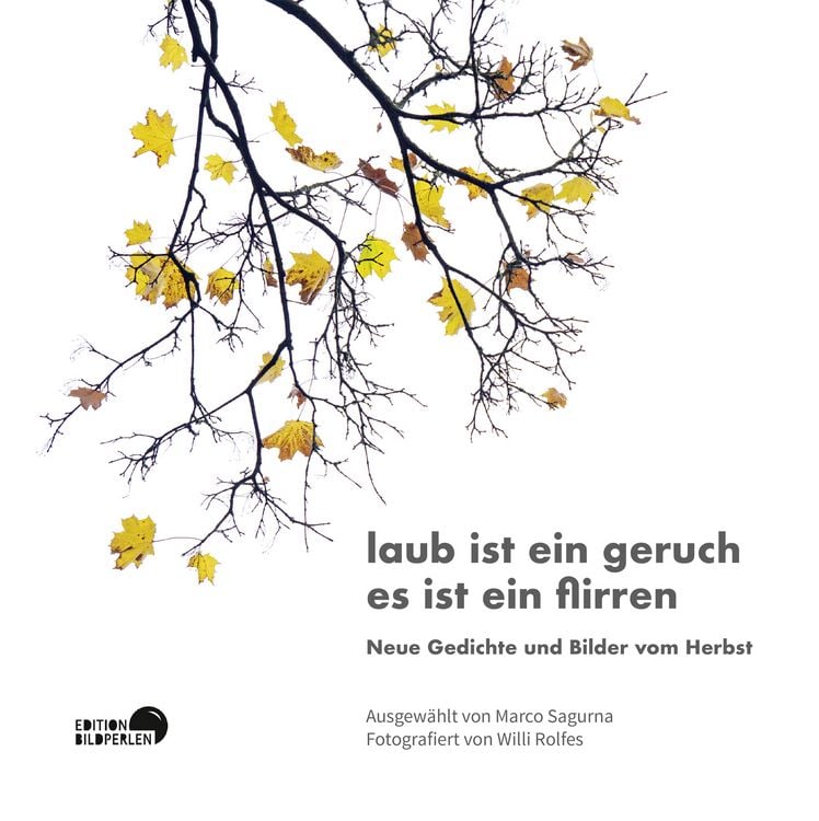 Produktbild: Laub ist ein geruch es ist ein flirren