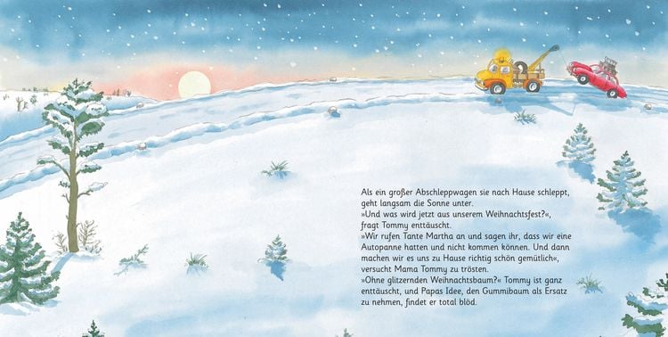 Produktbild: Lauras Weihnachtsstern (Pappbilderbuch)