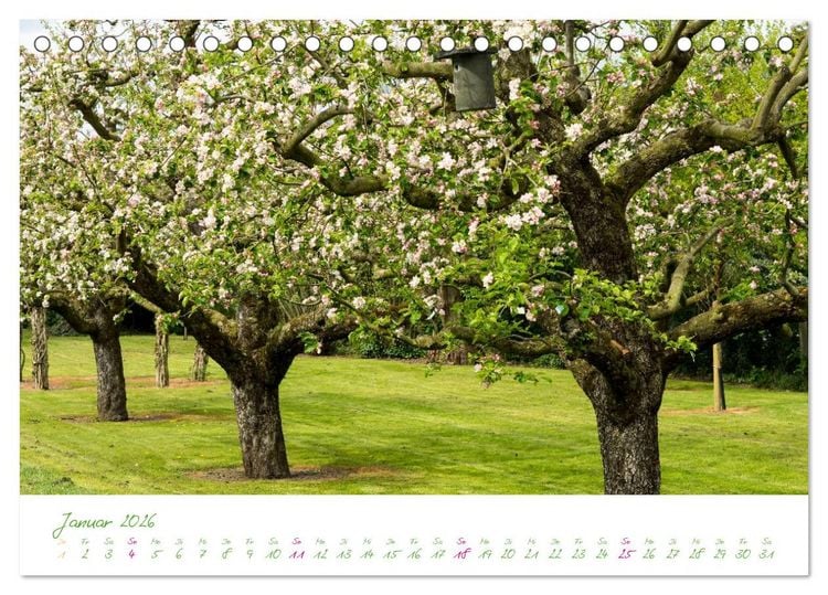 Produktbild: Kreislehrgarten in Steinfurt (Tischkalender 2026 DIN A5 quer), CALVENDO Monatskalender