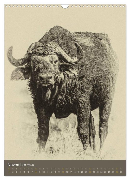 Produktbild: Afrikas Tierwelt - Sepia-Art (Wandkalender 2026 DIN A3 hoch), CALVENDO Monatskalender