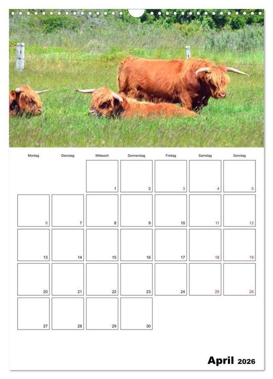 Produktbild: Langeoog - eine Trauminsel (Wandkalender 2026 DIN A3 hoch), CALVENDO Monatskalender