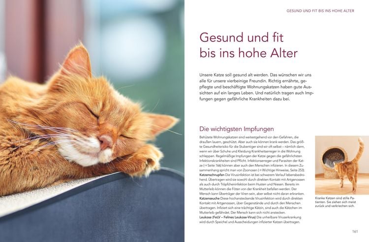 Produktbild: Das gro&szlig;e Wohnungskatzen-Wohlf&uuml;hl-Buch