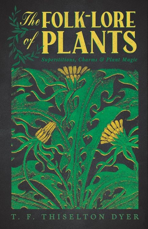 Produktbild: The Folk-Lore of Plants