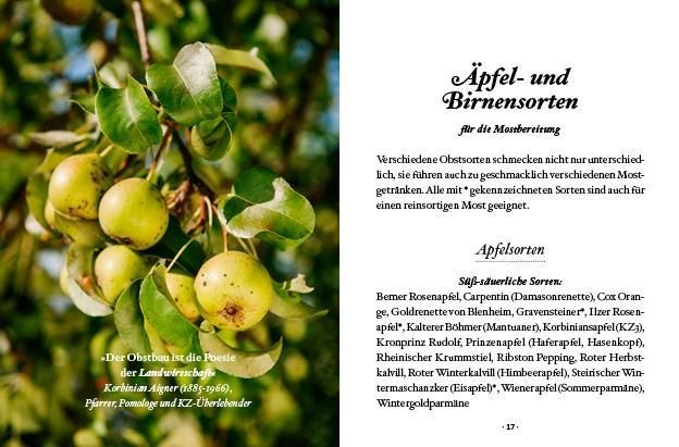 Produktbild: Das kleine Buch: Most selber machen