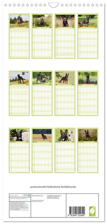 Produktbild: Familienplaner 2027 - ausdrucksvolle Holl&auml;ndische Sch&auml;ferhunde mit 5 Spalten (Wandkalender, 21 x 45 cm) CALVENDO